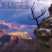  Images: Jack Dykinga's Grand Canyon