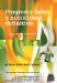  Programa fisico y nutricional definitivo/ The Ultimate New York Body Plan