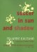  Soccer in Sun and Shadow