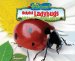  Helpful Ladybugs