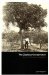 The Zealous Conservator: A Life of Charles Lane Poole
