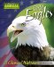  Bald Eagles: A Chemical Nightmare