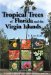 Tropical Trees of Florida and the Virgin Islands: A Guide to Identification, Characteristics and Uses