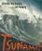  Tsunami!