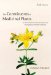  Constituents of Medicinal Plants: An introduction to the chemistry and therapeutics of herbal medicine