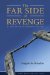 The Far Side of Revenge: Making Peace in Northern Ireland