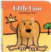  Little Lion Finger Puppet Book