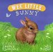 Wee Little Bunny