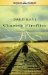  Chasing Fireflies