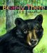  Bear-ly There
