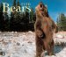  Bears 2010 Calendar