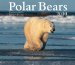  Polar Bears 2010 Calendar