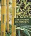  Ornamental Bamboos