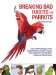  Breaking Bad Habits in Parrots: How Responsible and Sympathetic Parrot Care Can Prevent or Remedy Problem Behaviors