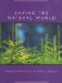  Saving The Natural World