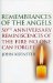  Remembrances of the Angels: 50th Anniversary Reminiscences of the Fire No One Can Forget