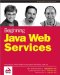  Beginning Java Web Services