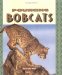  Pouncing Bobcats