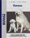  Kuvasz
