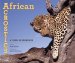  African Acrostics: A Word in Edgeways