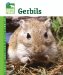  Gerbils