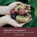  Asphalt to Ecosystems: Design Ideas for Schoolyard Transformation