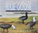  Search for the Blue Goose: J. Dewey Soper-The Arctic Adventures of a Canadian Naturalist