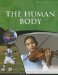 The Human Body