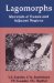  Lagomorphs, Mammals Of Russia And Adjacent Regions