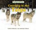  Counting in the Taiga