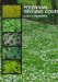  Perennial Ground Covers