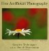  Fine Art Flower Photography: Creative Techniques And The Art Of Observation