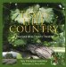 The Texas Hill Country: A Food and Wine Lover's Paradise