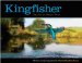  Kingfishers: Tales from the Halcyon River