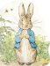  Peter Rabbit