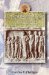  Performance and Cure: Drama and Healing in Ancient Greece and Contemporary America