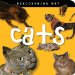  Discovering Art Cats