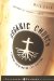  Organic Church: Growing Faith Where Life Happens