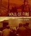  Wall of Fire: A Diary of the Third Korean Winter Campaign