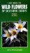  Field Guide to Wild Flowers of Southern Europe