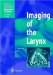  Imaging of the Larynx