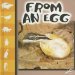  From an Egg