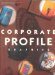  Corporate Profile Graphics