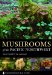  Mushrooms of the Pacific Northwest: Timber Press Field Guide