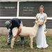  Till the Cows Come Home: County Fair Portraits