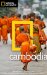 National Geographic Traveler: Cambodia