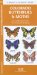  Colorado Butterflies & Moths: An Introduction to Familiar Species
