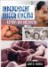  Independent Queer Cinema: Reviews And Interviews