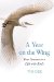 A Year on the Wing: Four Seasons in a Life With Birds