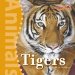  Tigers